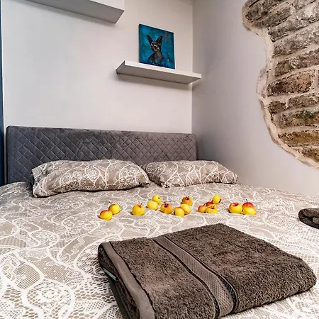 Διαμέρισμα Brand New Studio In City Center Ταλίν